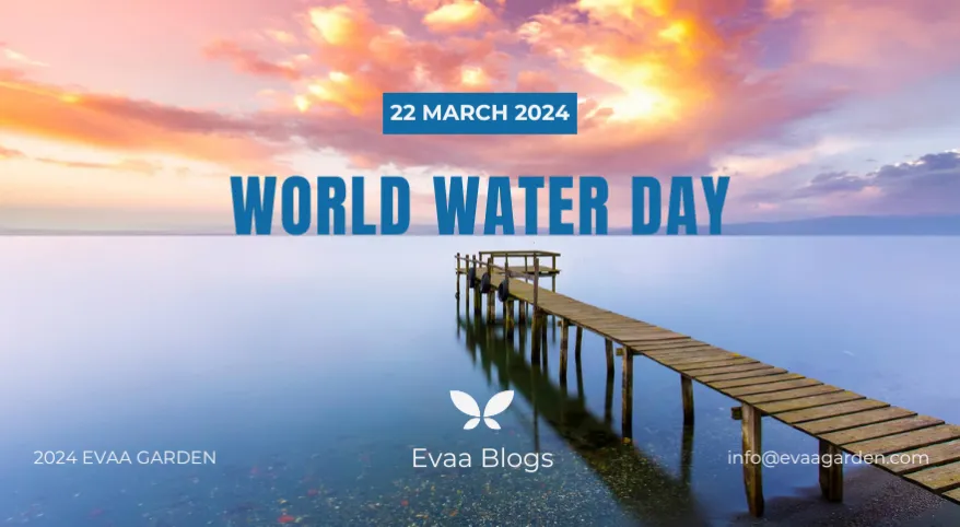 The Importance of Water Conservation on World Water Day